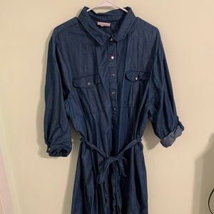 Molly Isadora Blue Jean Dress 22W